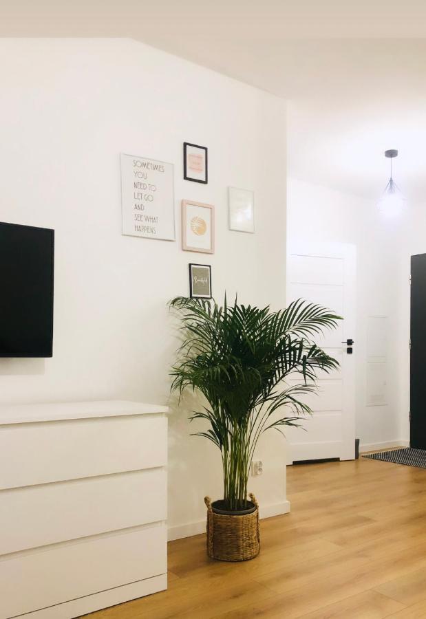 Toruń Apartaments - Apartaments №17 Zewnętrze zdjęcie